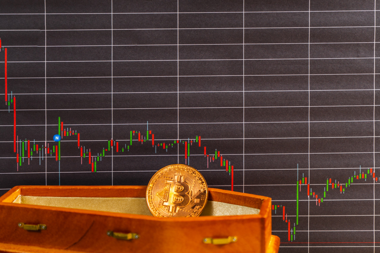 Earn with compounding on Binarycent Earn with compounding on Binarycent